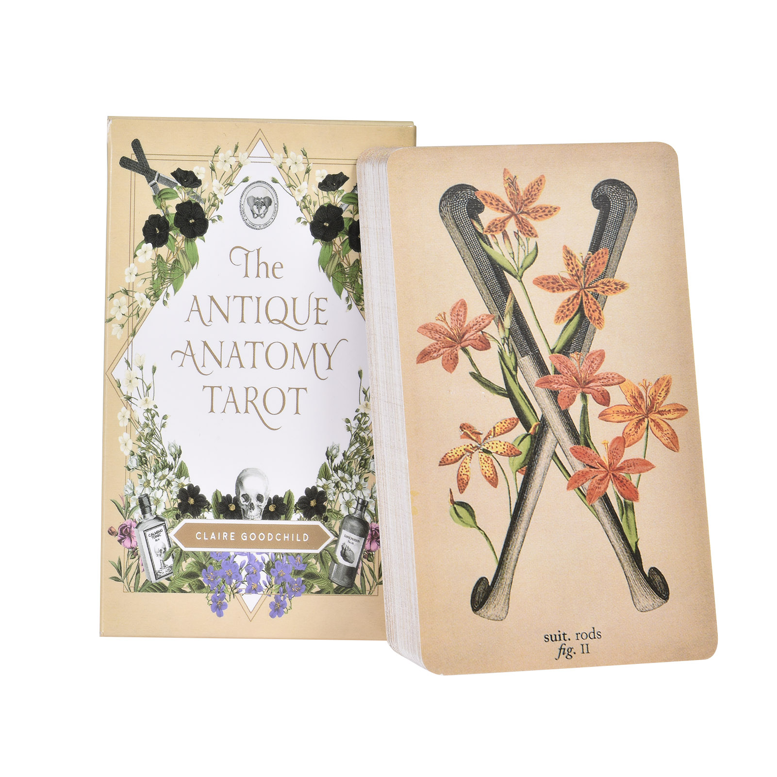 Board Game Oracle - The Antique Anatomy Tarot Cards English